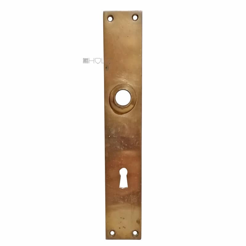 Langschild Bauhaus Avantgarde groß Türdrücker 41x246-16.6x80