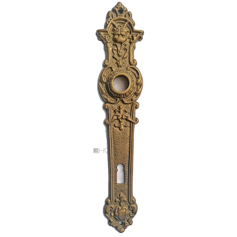 Langschild antik Löwe alt Gründerzeit Türdrücker 15.6mm 92