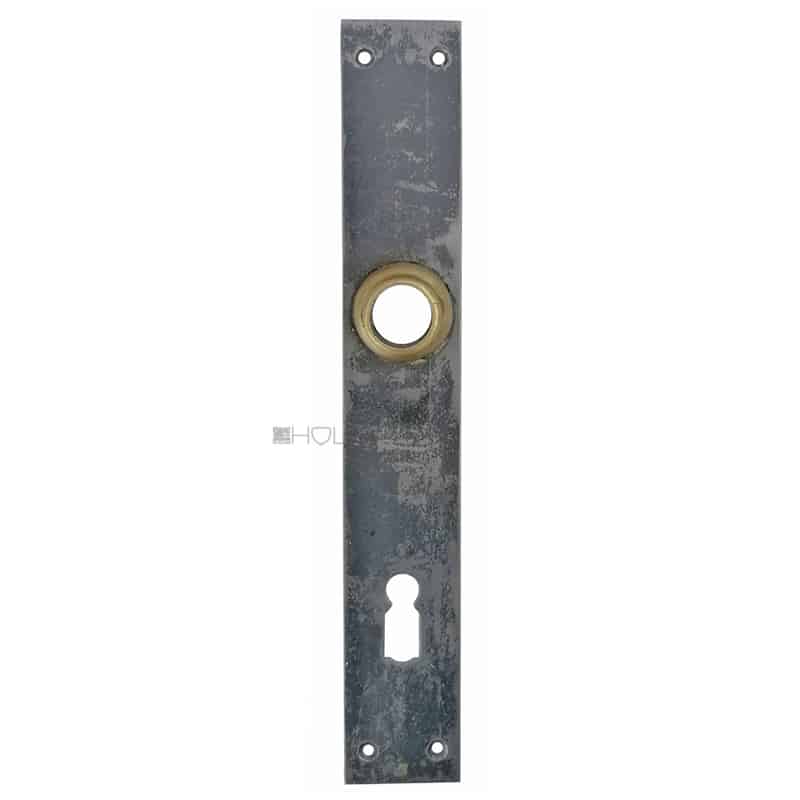Langschild Jugendstil Stahl alt Türdrücker Türklinke 30x195-14.7mm 72 Langschild Jugendstil Stahl alt Türdrücker Türklinke 30x195-14.7mm 72